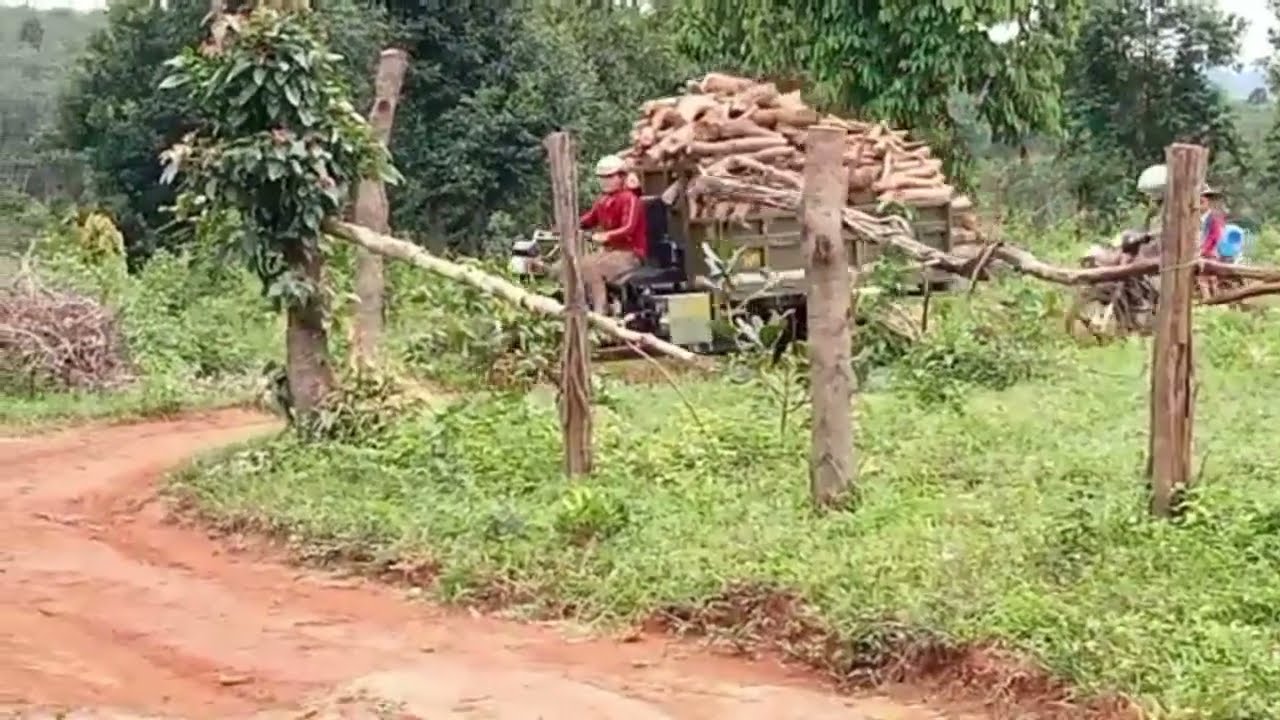 Xe ba gác chở củi trong vườn cà quá đẳng cấp