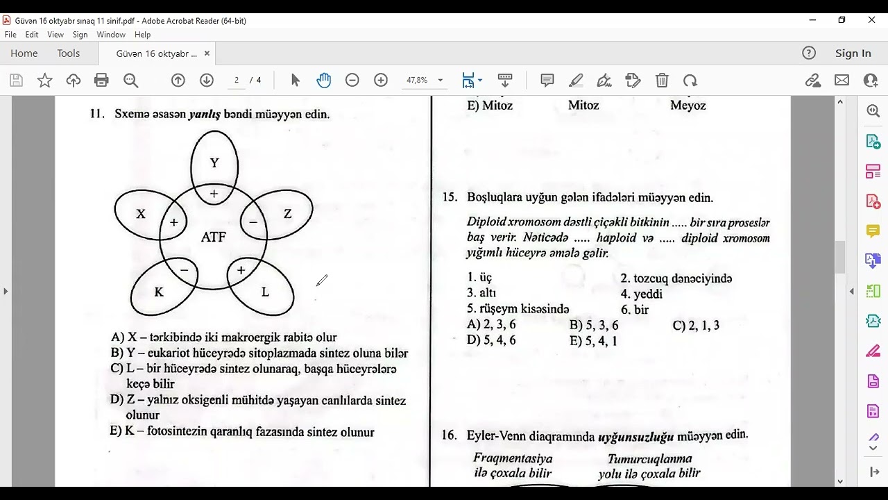 Güvən sınaq  BİOLOGİYA 11 sinif