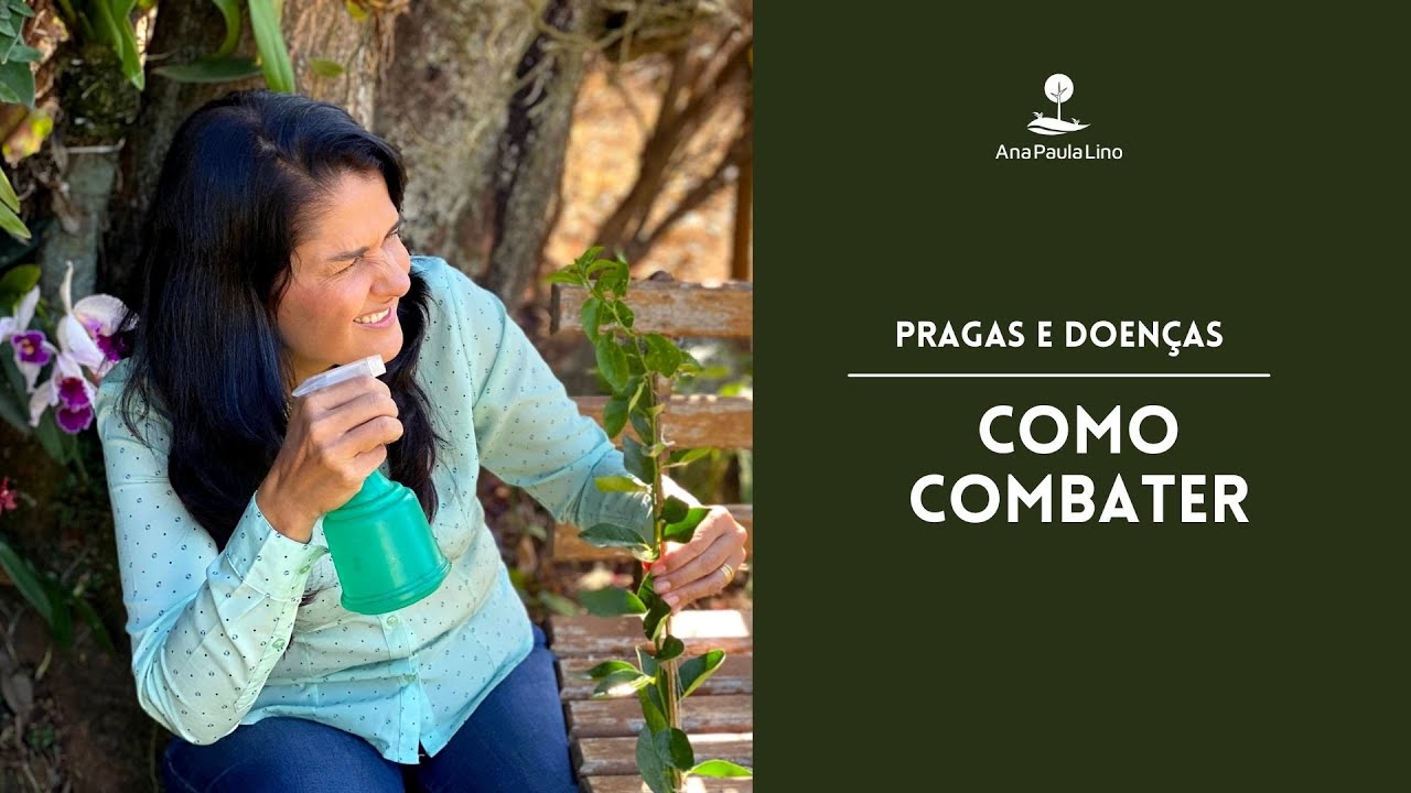 PRAGAS E DOEN&Ccedil;AS: O que fazer para controlar