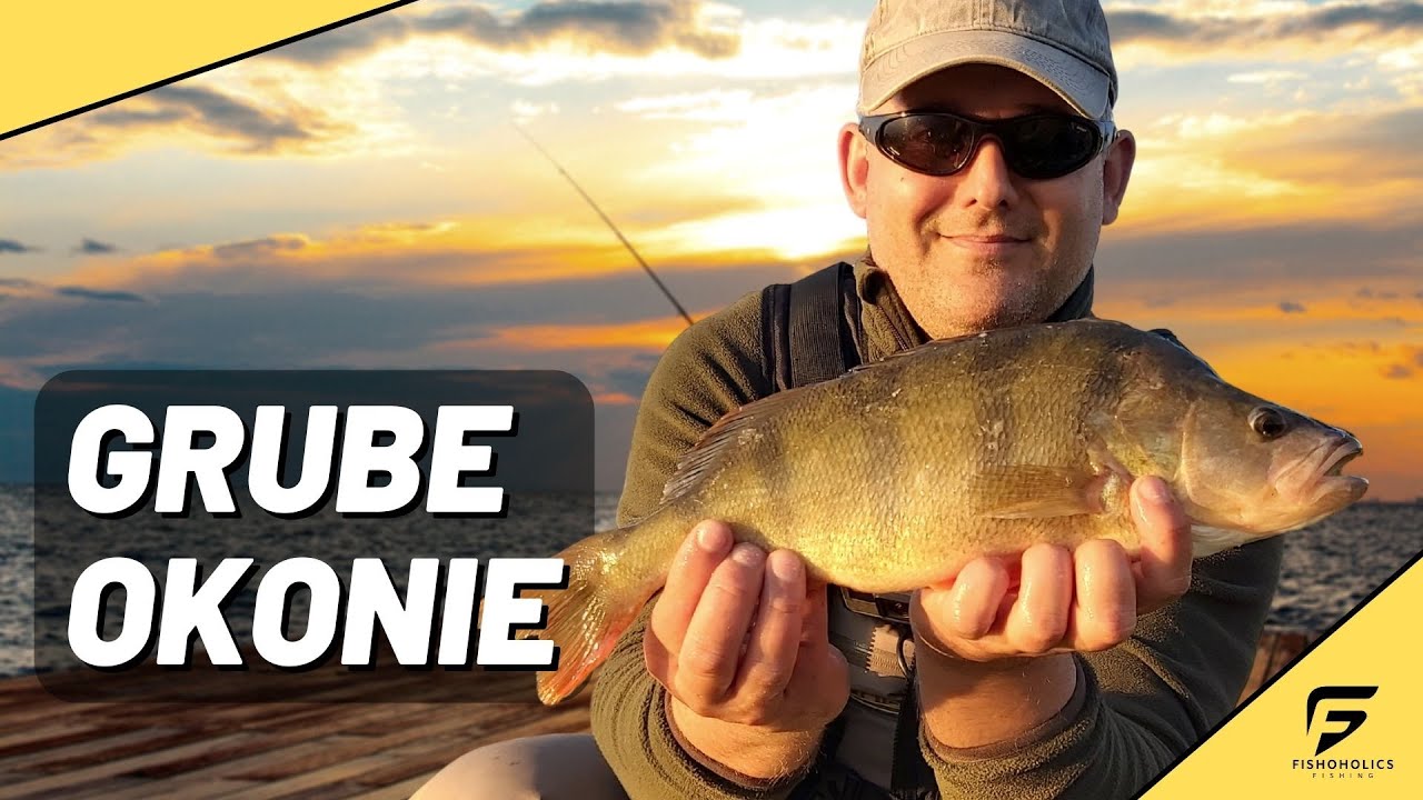 Grube okonie na obrotówki, nowa życiówka. Pierwszy szczupak w 2020.