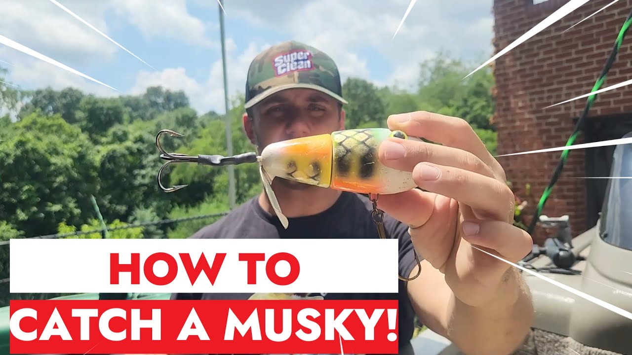 How To Catch A Musky - A BEGINNER'S Guide