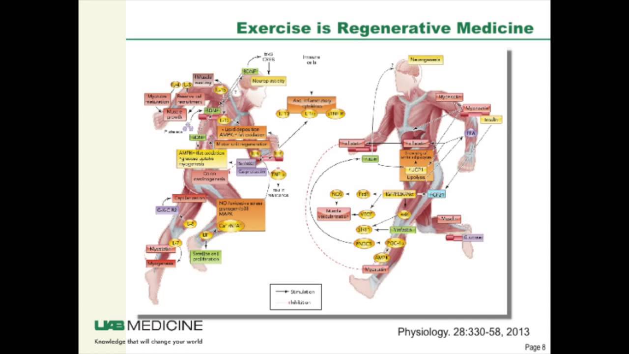 Exercise Is Regenerative Medicine: Impact on Chronic Disease