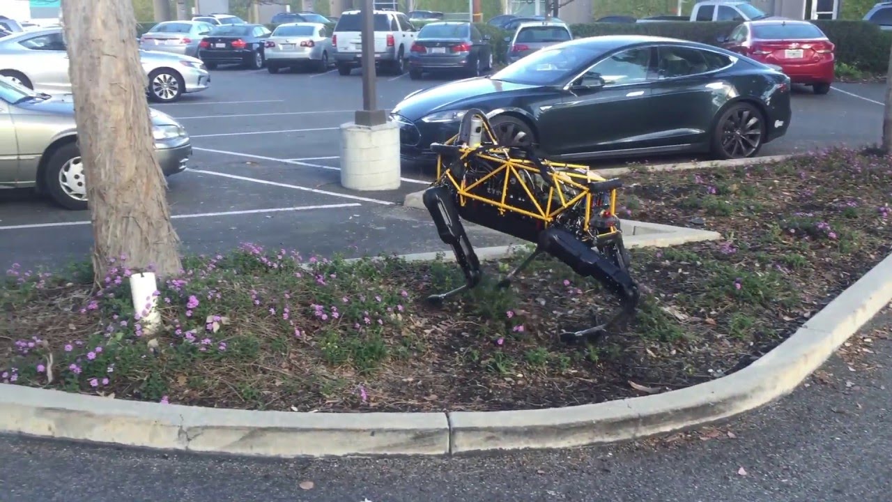 See Spot Run — Robo romp in the Playground