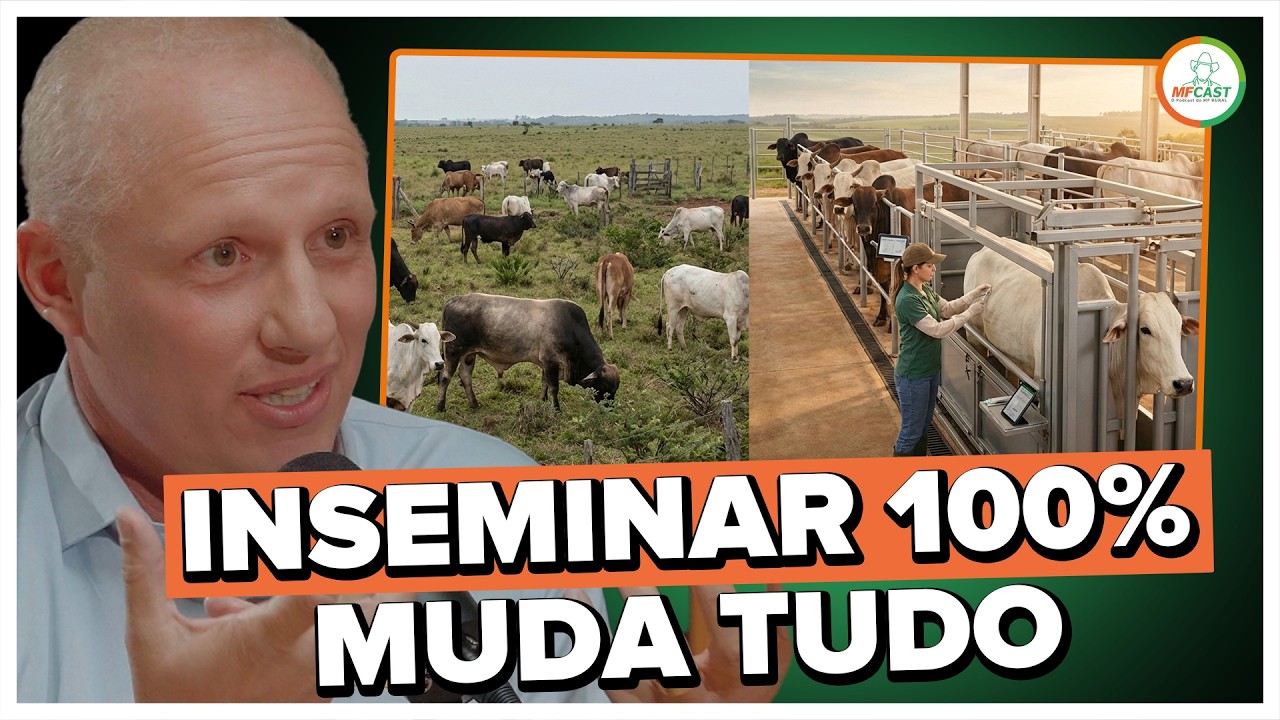 COMO A IATF TE DÁ O CONTROLE QUE O TOURO NÃO DÁ - MF CAST #15