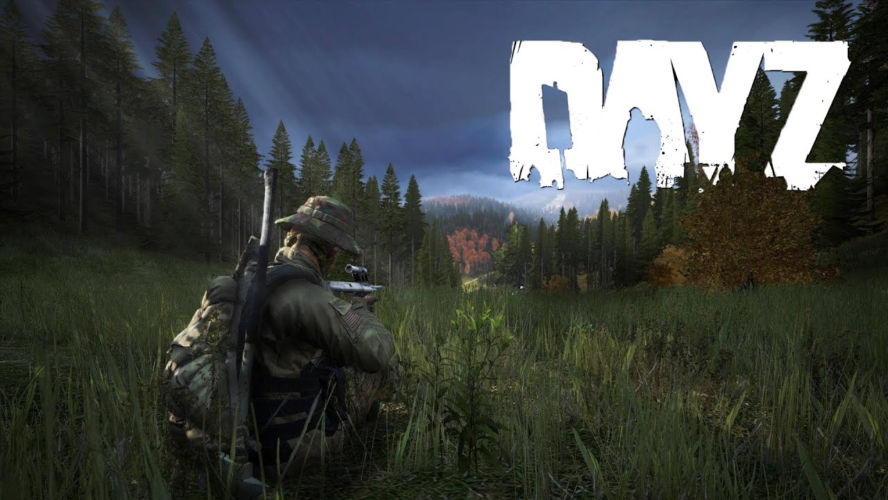 DayZ Survival