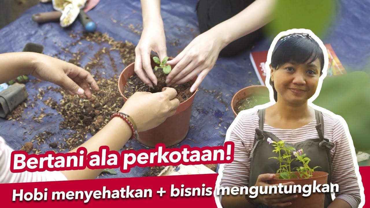 BERGURU (Belajar Ragam Usaha Baru) EP.01 - Bertani di Rumah Perkotaan