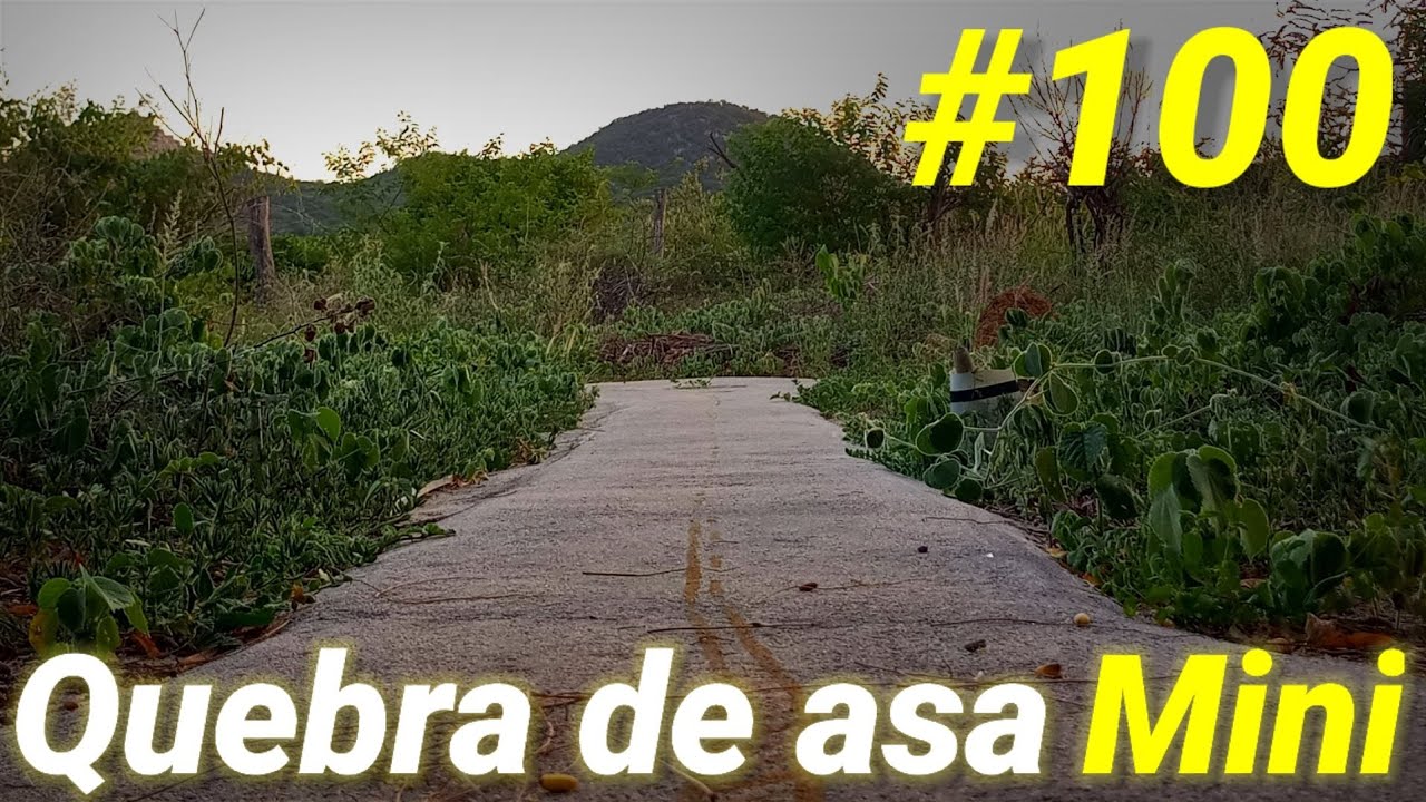 Quebra de asa Miniatura (o ultimo ep do ano) #100