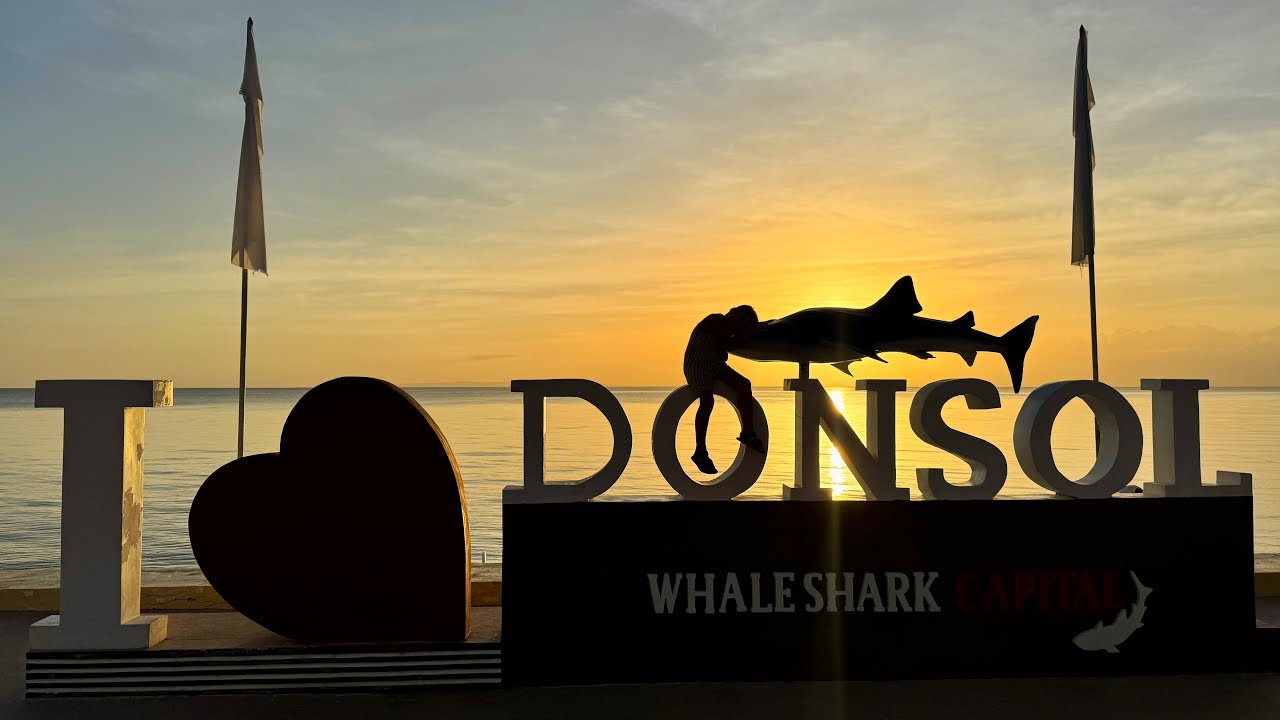 🇵🇭DONSOL - 2 Dias 💯 EL lugar mas famoso de Filipinas para bucear con tiburones Ballenas.🐋 Dia 1.