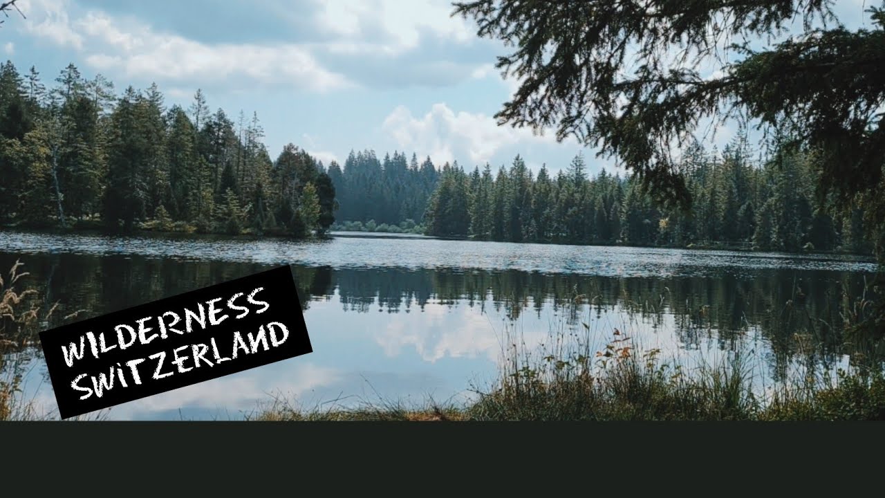 🇨🇭 Switzerland: Étang de la gruère  un reserve naturelle et paradis pour les amoureux de la nature!