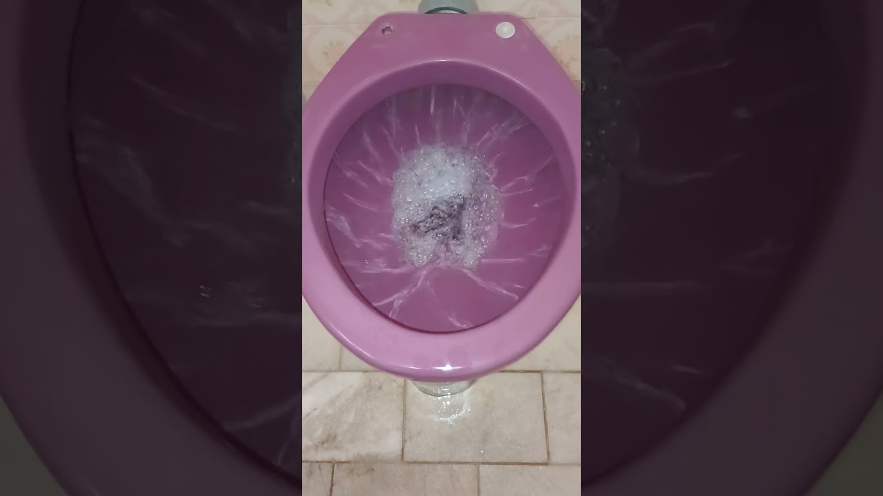 Lou&ccedil;as Sanit&aacute;rias Deca Maraj&oacute; anos 60/70