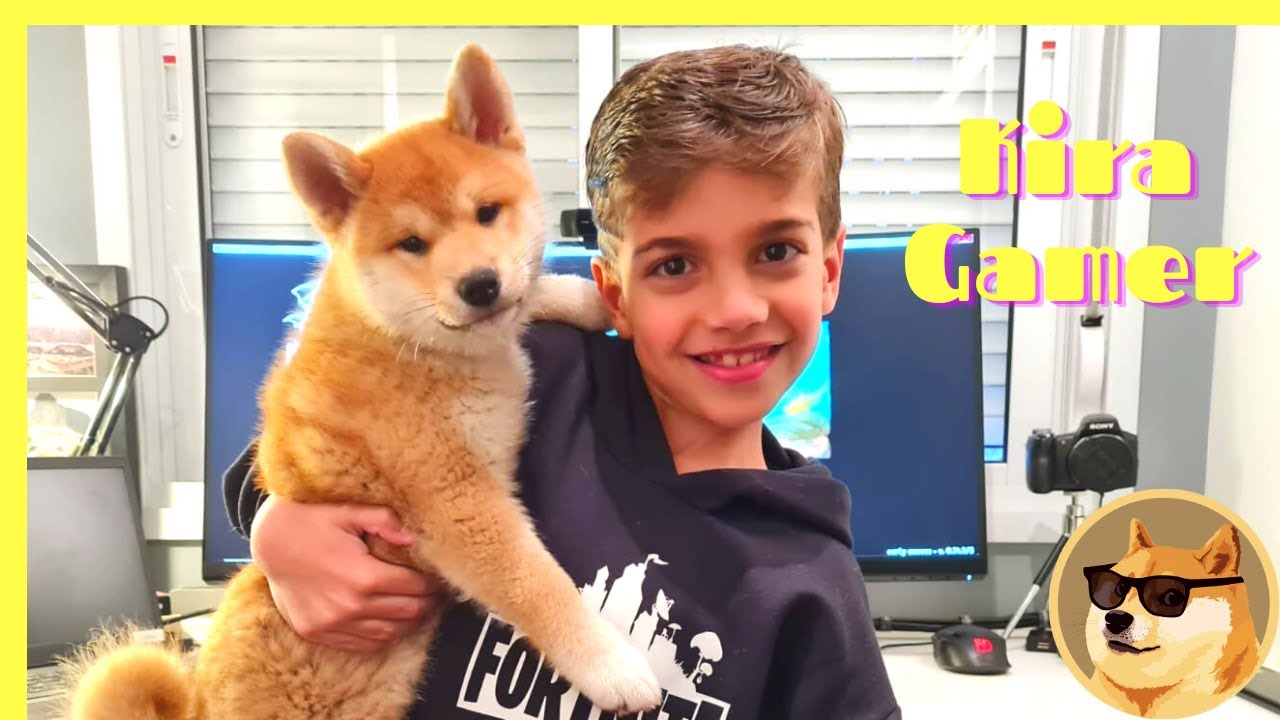 APRESENTANDO MEU CACHORRO GAMER!!!!!!!