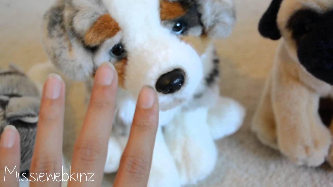 Webkinz Signature collection!