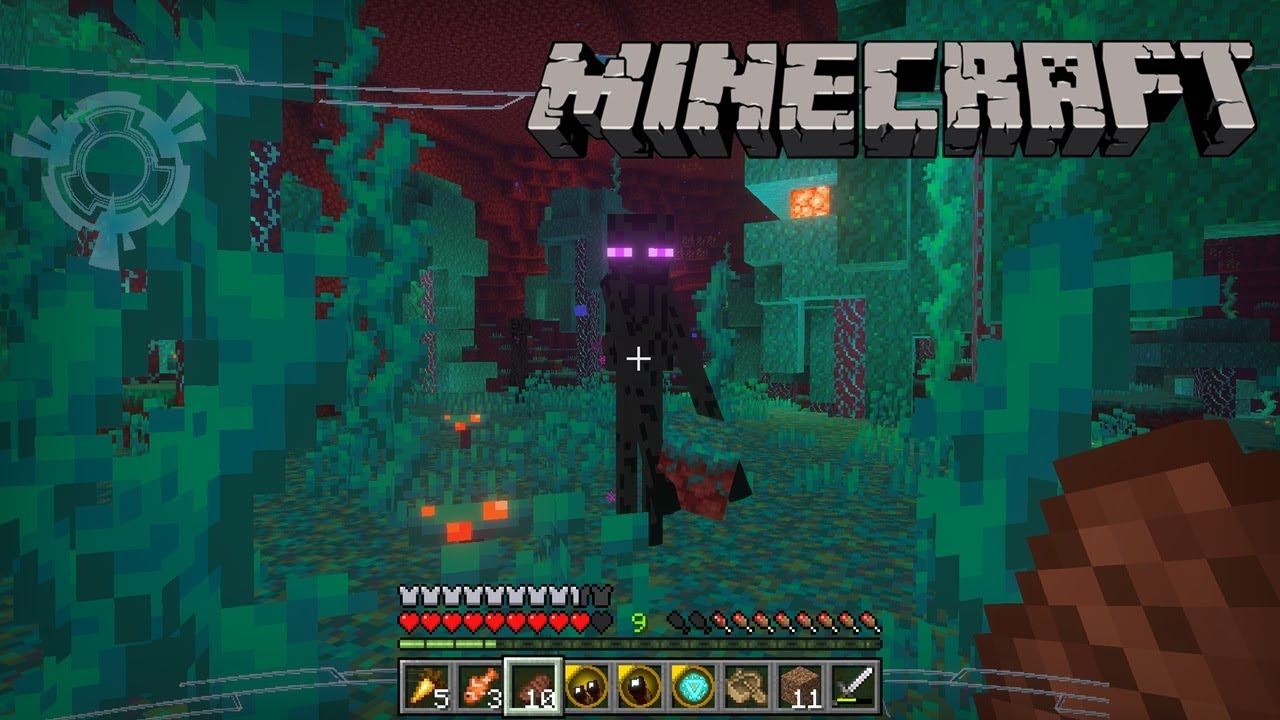 Охота за жемчужинами Эндера (модифицированный Minecraft) #19