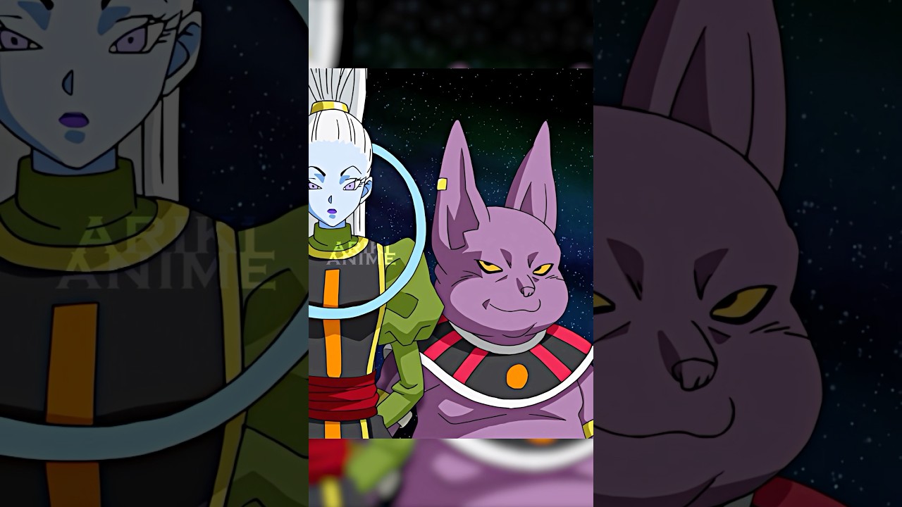 Champa Wants Vados To Fight Beerus😂