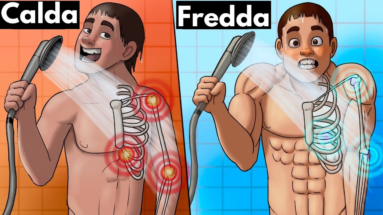 🛀 Ecco cosa ti succede se fai tutti i giorni la Doccia Fredda 🚿