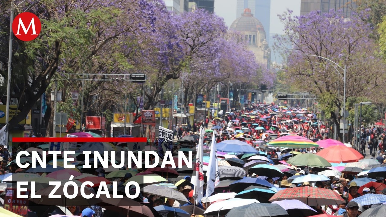 Integrantes de la CNTE 