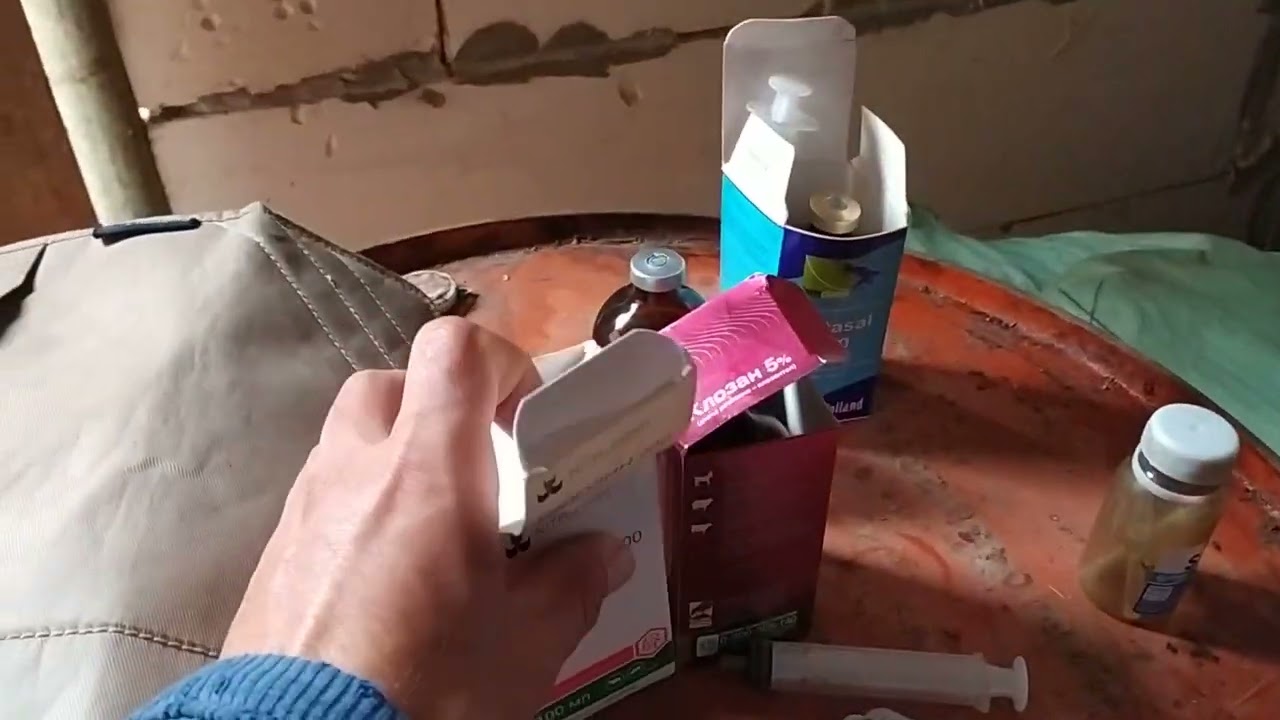 Mollarimizga qanday vitamin va  jigariga ikollar qilyapmiz koramiz