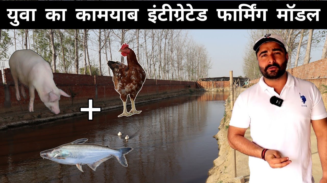 सफल इंटीग्रेटेड फार्मिंग | Fish Farming + Desi Poultry Farming + Pig Farming @IndianFarmRover