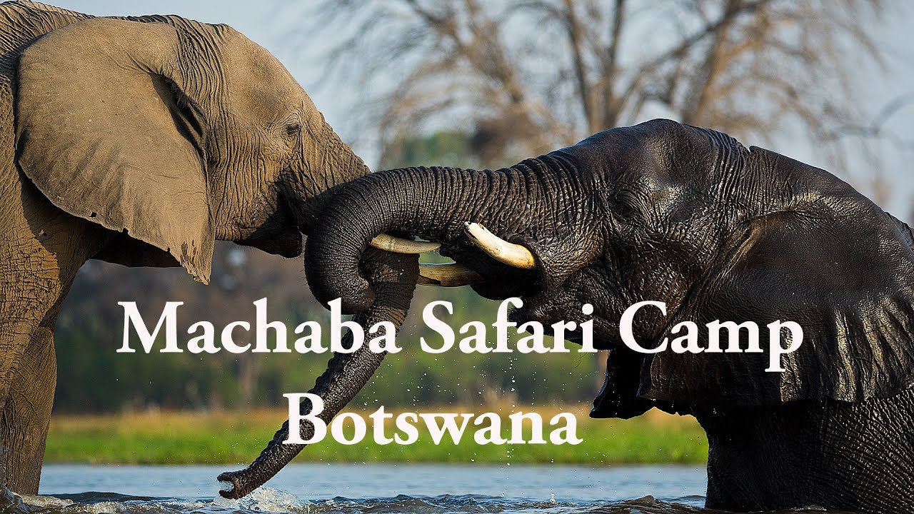 Luxury Lodges of Africa.Machaba Luxury Safari Lodge and Camp, Botswana. Machaba Safaris