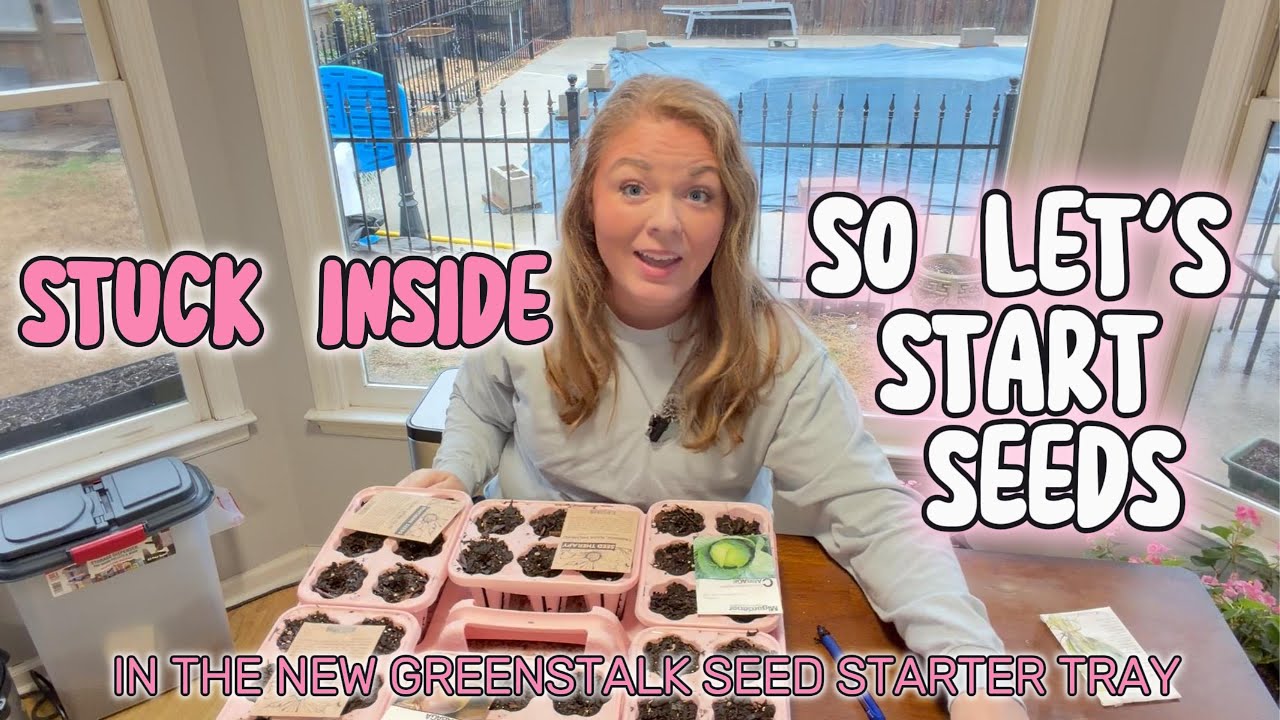 This ice storm can't stop me from starting seeds in the new Greenstalk seed starter tray