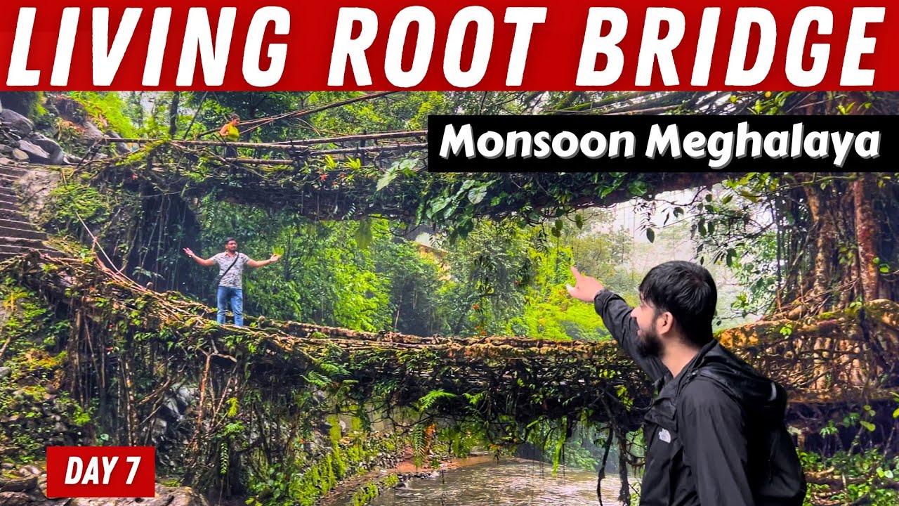 Yahan Network Nahi Tha… Par Zindagi Thi Living Root Bridge Meghalaya | Meghalaya Bike Ride 2025