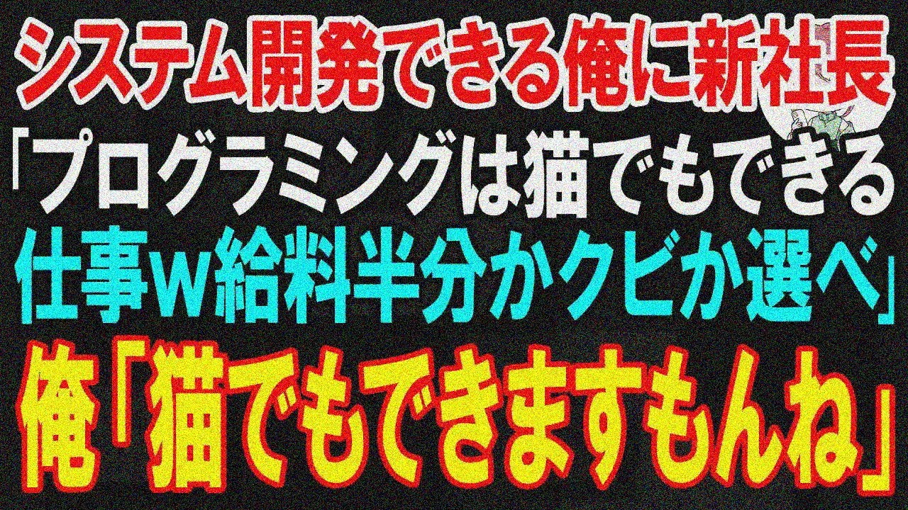 【スカッと】社内で唯一、システム開発できる俺に新社長｢プログラミングは猫でもできる仕事w給料半分かクビか選べ｣俺「猫がやる仕事なら俺は辞めますね」ライバル会社に転職した結果【朗読】【修羅場】