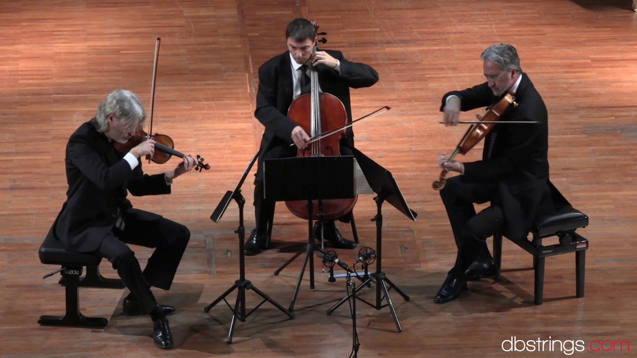 Nuovo Trio Italiano d'Archi - Boccherini Trio in re maggiore op. 14 n. 4 G. 98