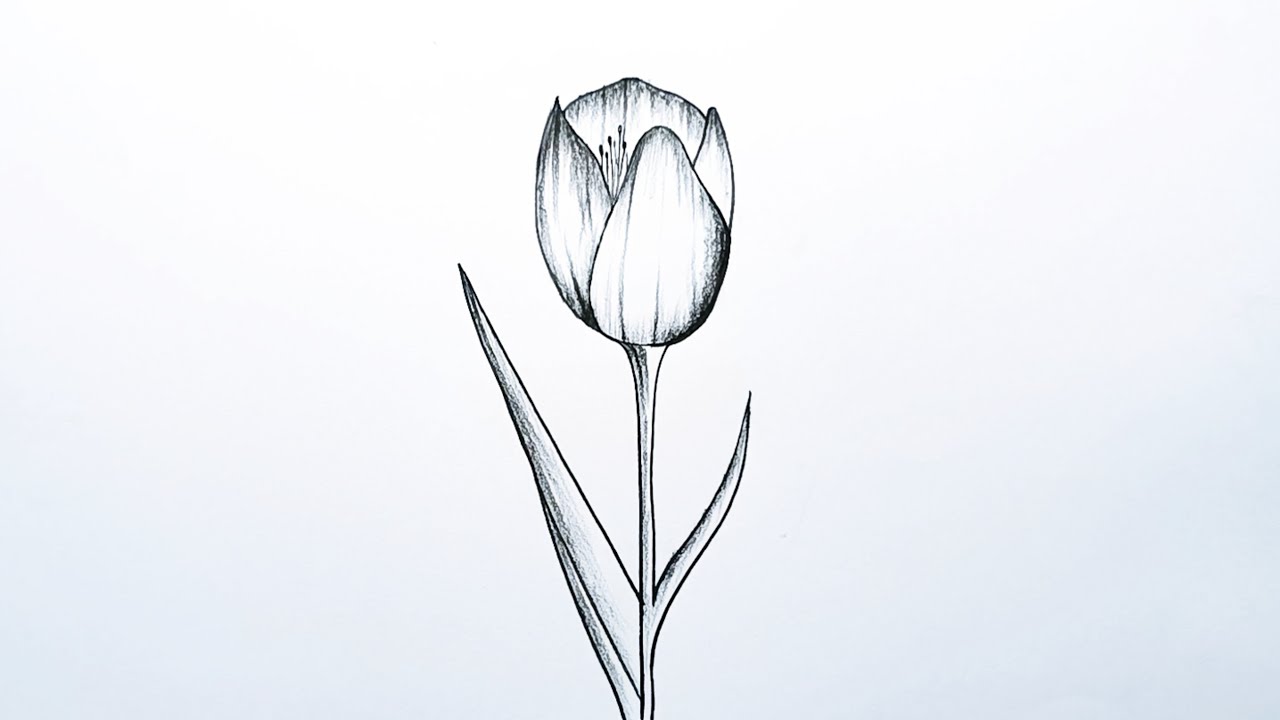 How to draw a beautiful flower easy | Easy Flower Drawing Step by Step | Simple flower art |