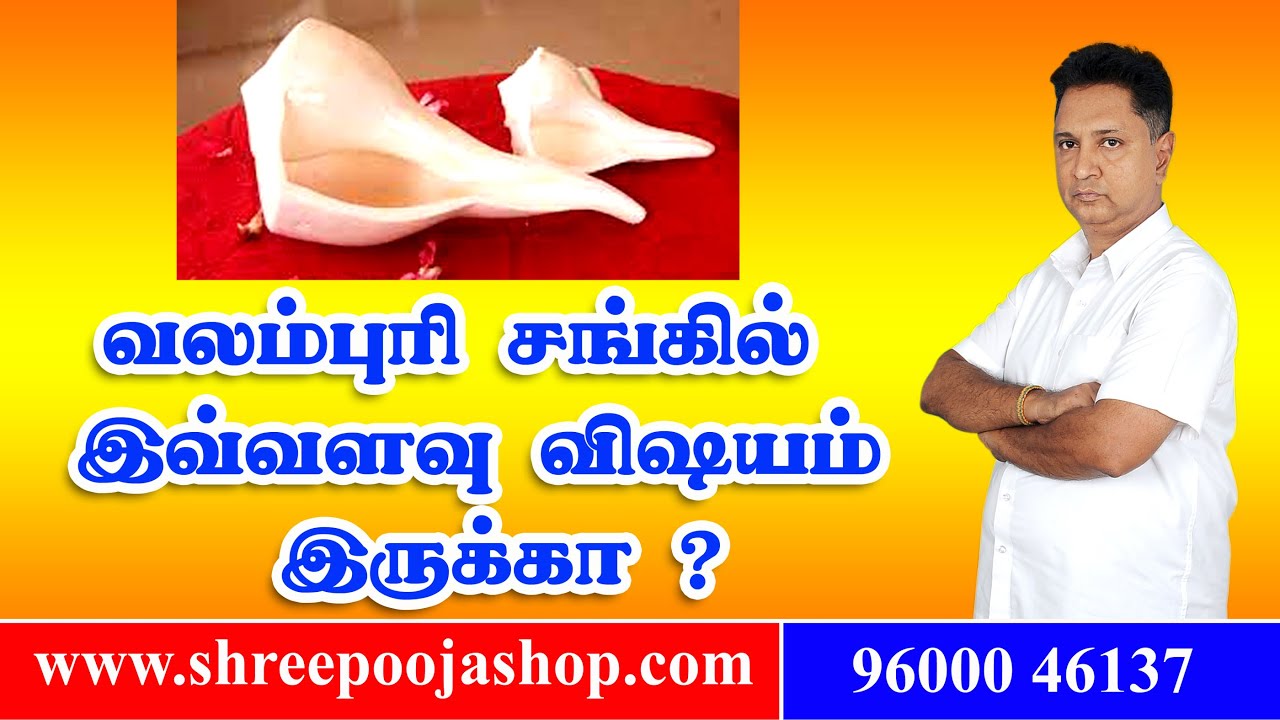 வலம்புரி சங்கில் இவ்வளவு விஷயம் இருக்கா? | Valampuri Sangu Original | Valampuri Sangu Pooja in Tamil
