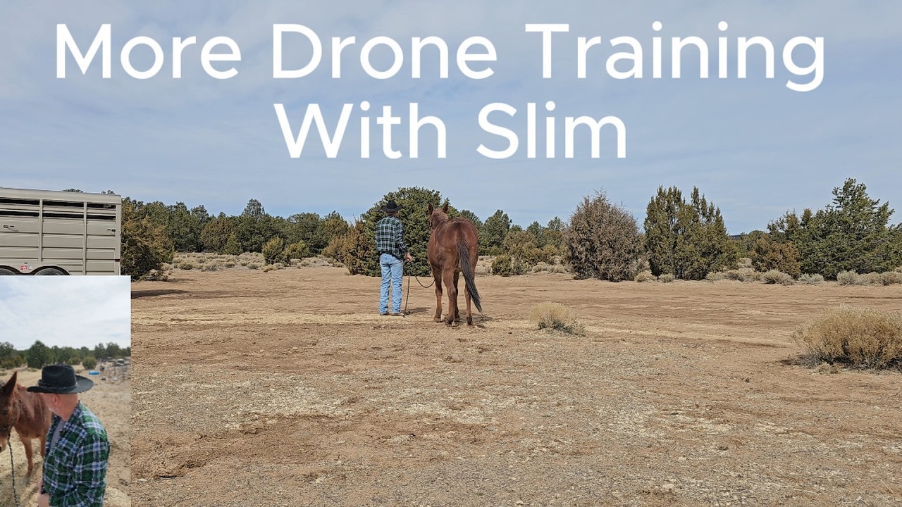 Smart Drones & Ranch Mules: High Country Training #subscribe