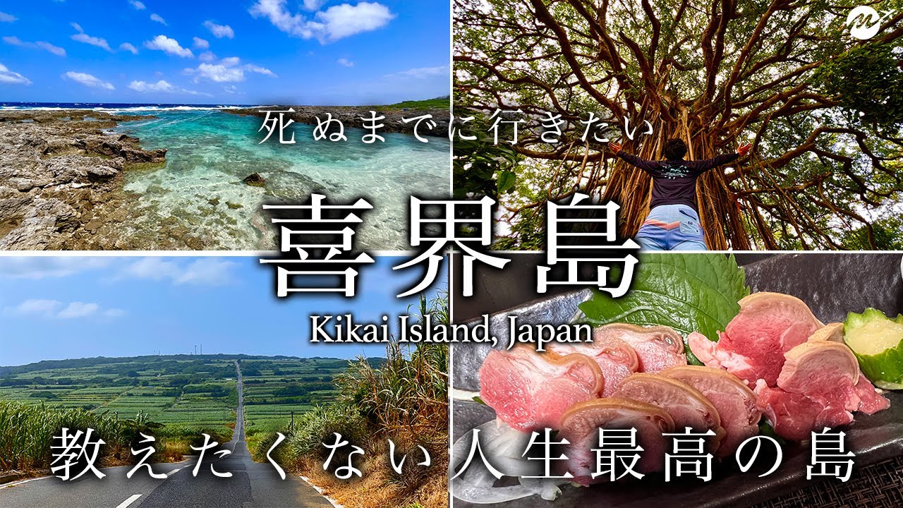 【教えたくない】喜界島ひとり旅。奄美大島の隣にあるサンゴでできた島が観光客に優しすぎて最高すぎた！おすすめ絶景スポット【鹿児島・奄美群島・離島・旅行・観光・シュノーケリング】
