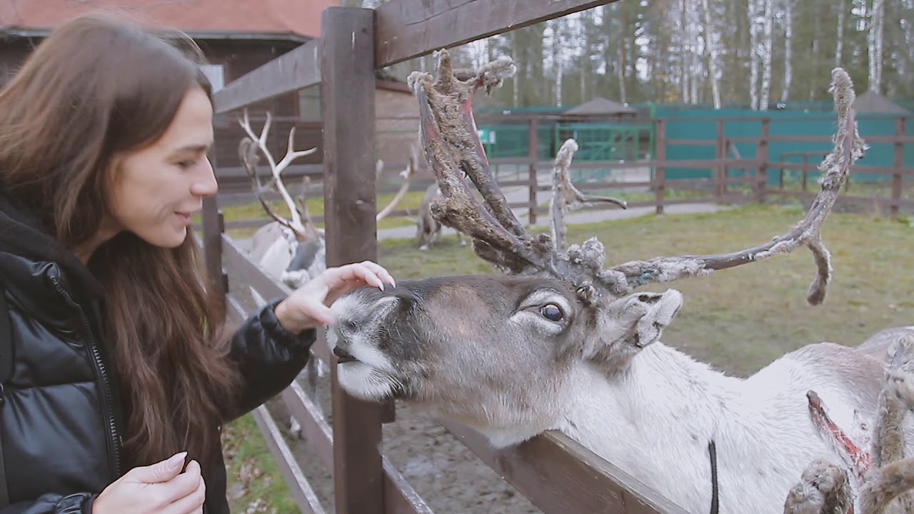 Оленья ферма 