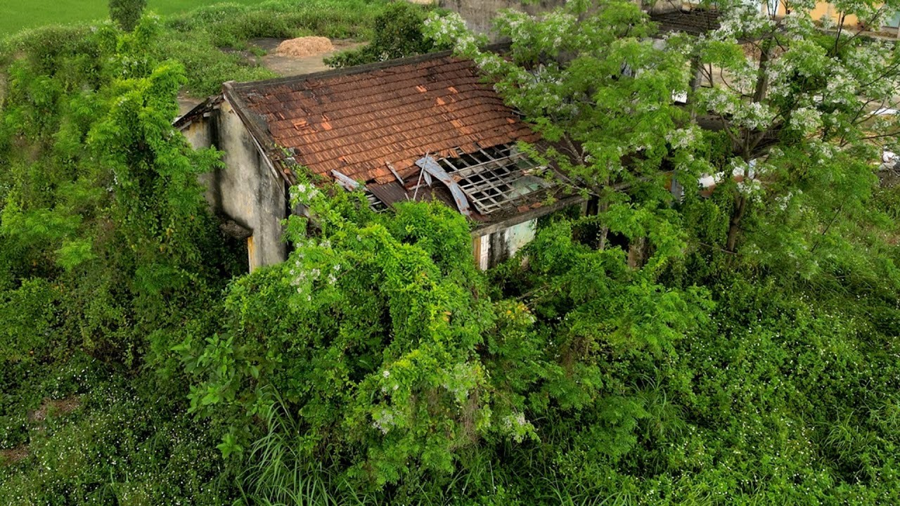 From Forgotten Ruins to Cozy House | Extreme Clean up & Renovation