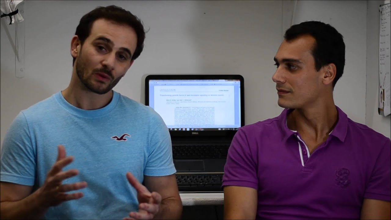 Beta-alanina: o que é, como funciona e seus efeitos.