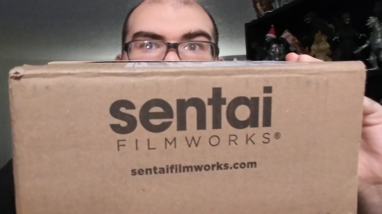 Sentai Filmworks SPRING SALE Haul!