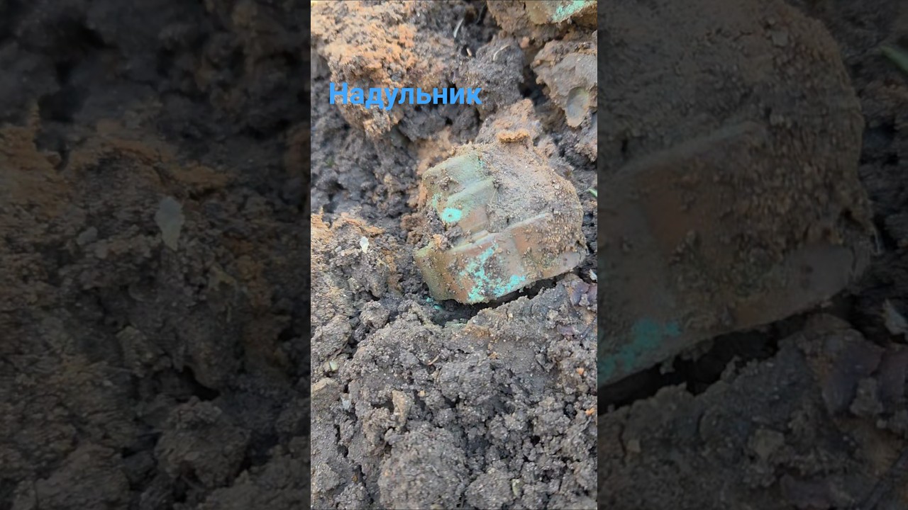 коп по первой мировой и надульник бельгийского маузера #deus #metaldetecting #metalpix #digging