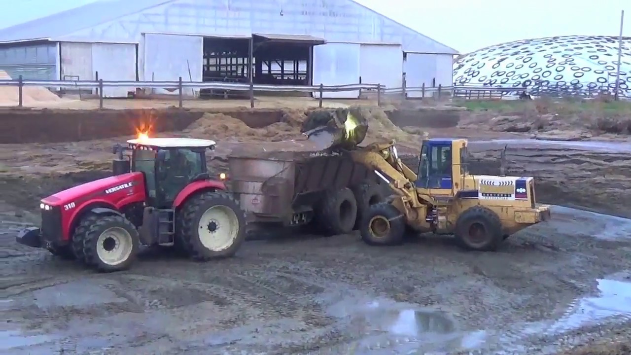 Hauling Cow Manure in Northern Indiana