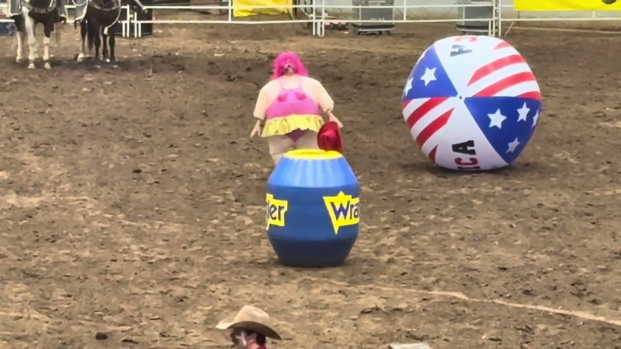 Rodeo recap #funny #bull 