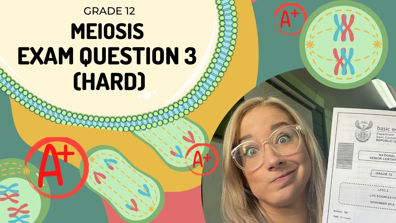 MEIOSIS : How to answer exam questions CORRECTLY | Q3 (HARD)