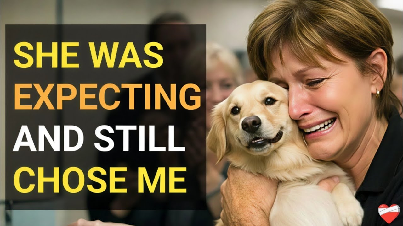 We Let an Expecting Female Dog Choose Her Humans &mdash; Adoption Moments