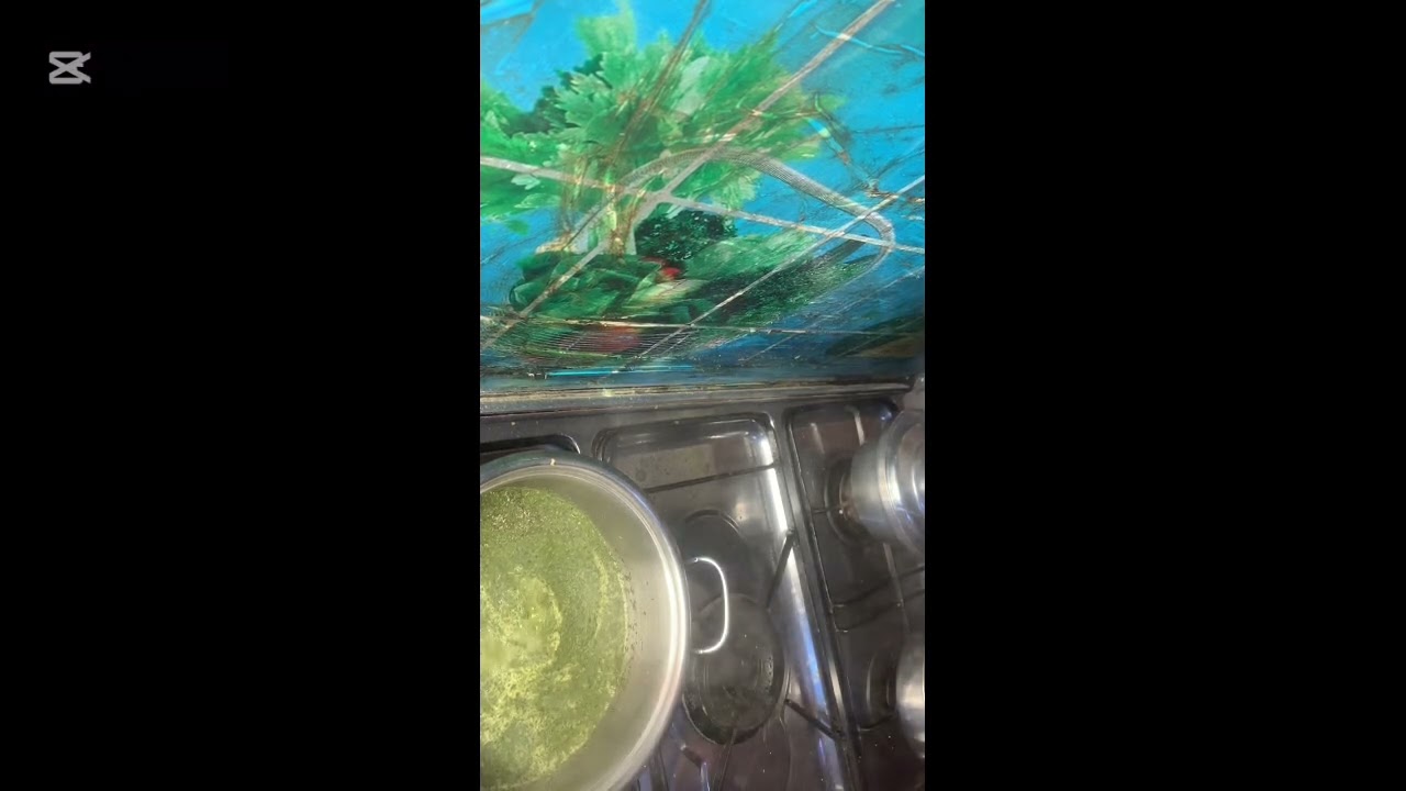 اطعم فراخ 🐓 واحلي ملوخيه بطريقه مختلفه اول مره تشوفوها معً ارز بشعريه 