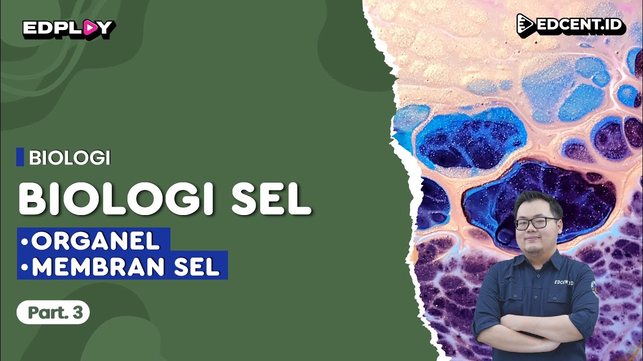 Materi Biologi: Biologi Sel | Organel, Membran Sel & Fluid Mosaic | Part 3