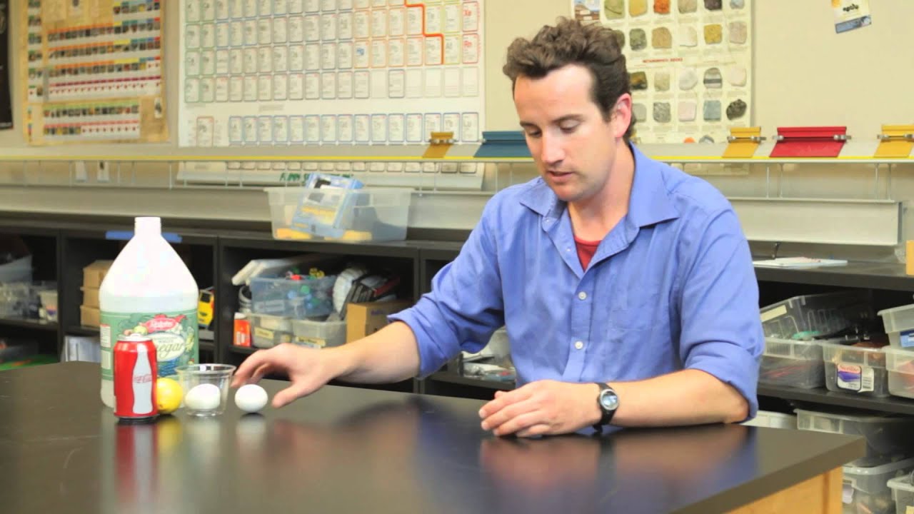 Middle School Science Fair Projects About Eggs : Physics, Chemistry & More Sciences