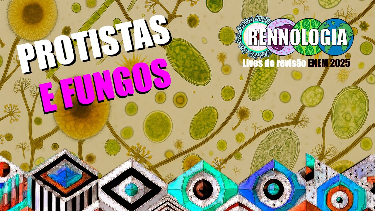 REVISÃO ENEM 2025 - Protistas e Fungos