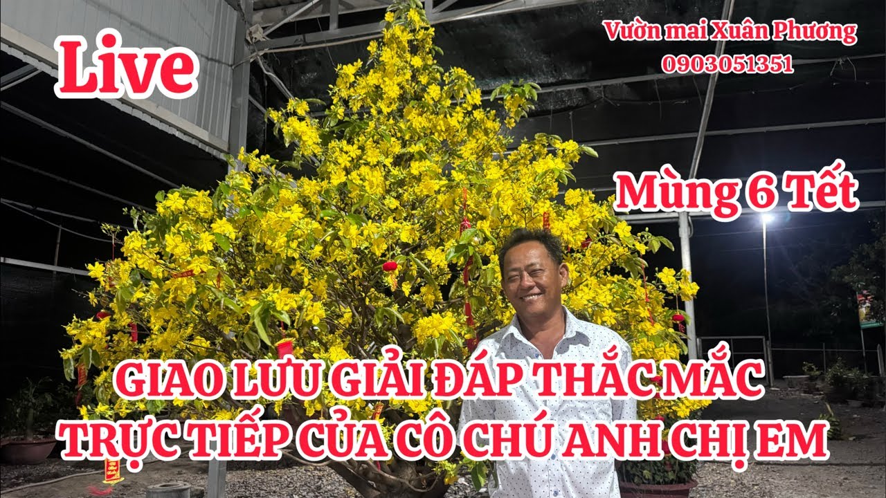 GIAO LƯU GIẢI ĐÁP THẮC MẮC TRỰC TIẾP CỦA CÔ CHÚ ANH CHỊ EM(mùng 6 Tết)