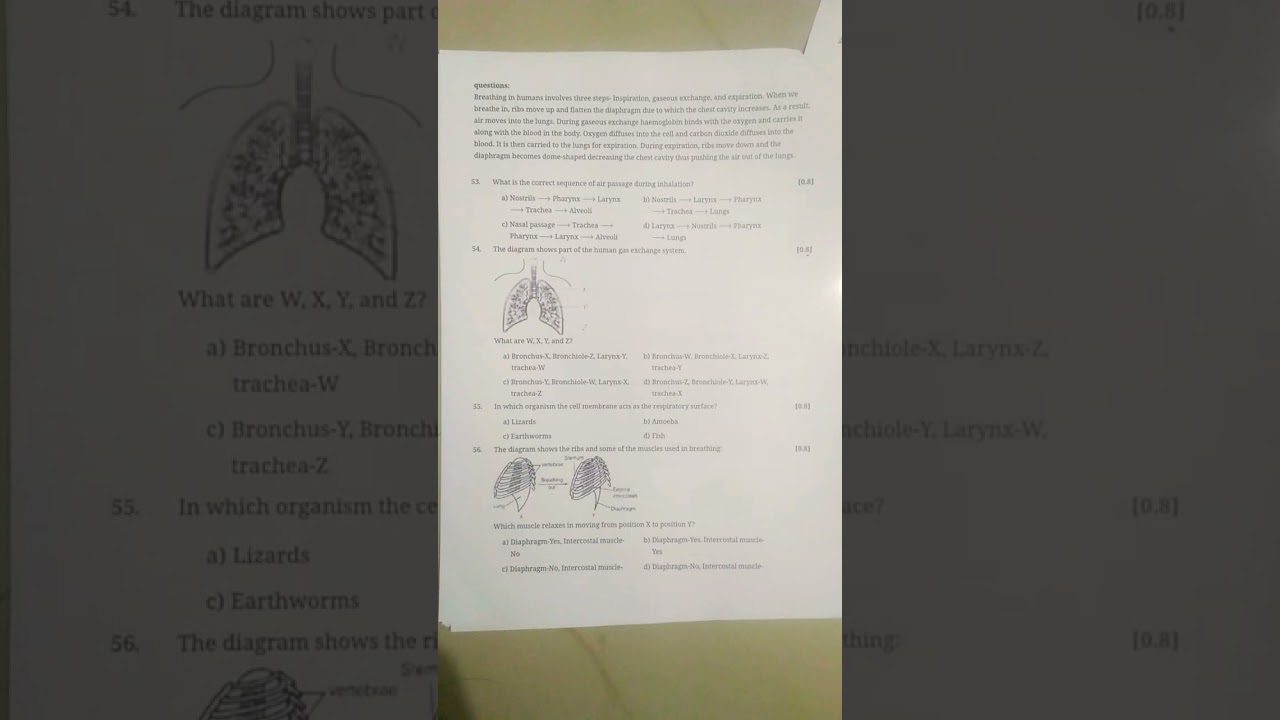 #cbse #cbseboardexam2021 #100percentworkingvideo #cbsescience #cbseclass10 #cbselatest#questionpaper