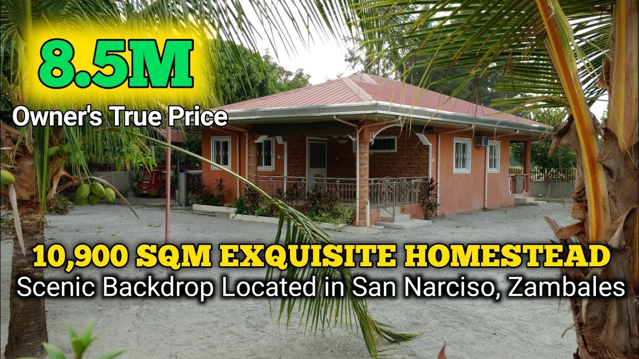 (SOLD) Napaka Ideal for Homestead ng House and Lot na Ito | San Narciso, Zambales