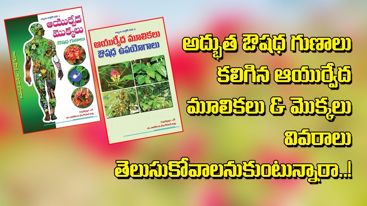 Complete Book of Ayurvedic Plants & Herbs || ఔషధ లక్షణాలు కలిగిన ఆయుర్వేద మూలికలు మరియు మొక్కలు