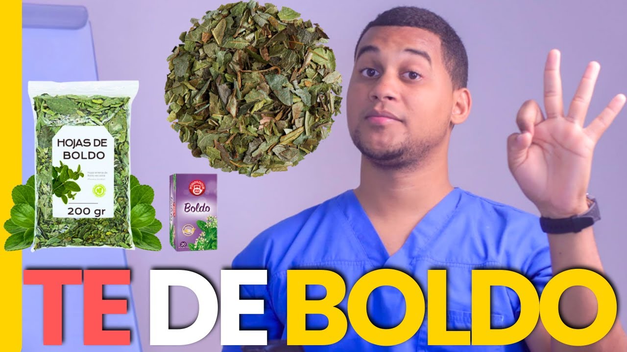 TE DE BOLDO PARA QUE SIRVE | 3 COSAS