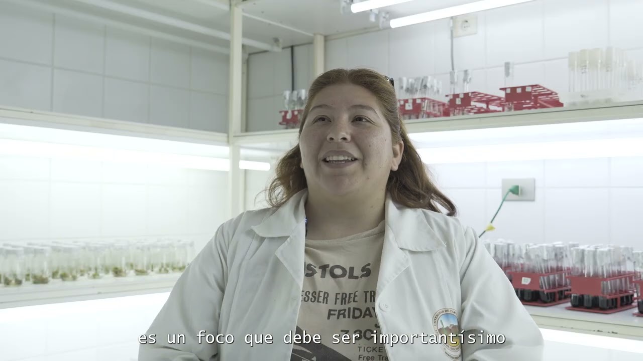 Innovación Agronómica: Recuperación de especies vulnerables mediante cultivo in vitro